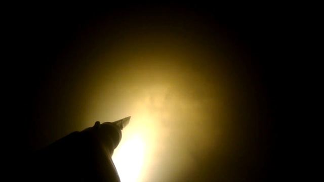 Чудеса на охоте! Золотая рыбка!! смотреть онлайн