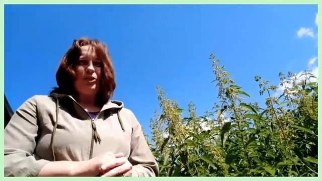 Летнее творческое занятие «Прогулка со сказкой Г.Х. Андерсена. Гербарий», педагог Сударева О.В. смотреть онлайн