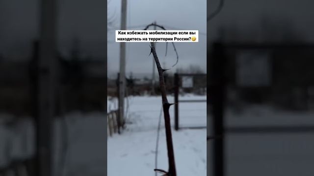 Инструкция: Как избежать новой волны мобилизации в России?? смотреть онлайн