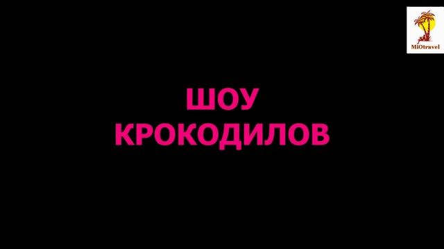 Крокодиловая ферма Сад многолетних камней Паттайя Таиланд 2016 смотреть онлайн