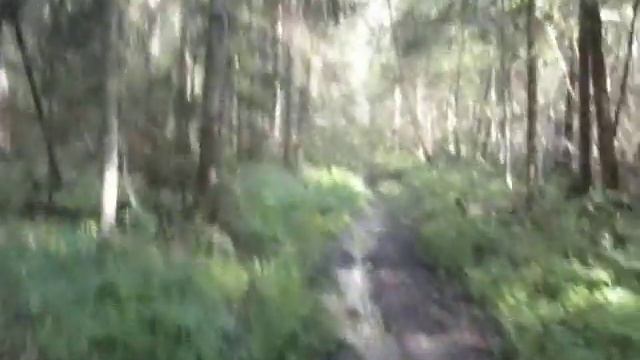 ЦЛГБЗ Фоновый Модуль 2 смотреть онлайн