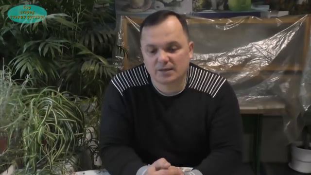 Перед посевом семян посмотрите это видео или как получить дружные всходы!