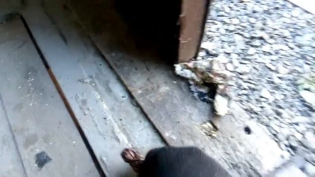 Первый в жизни обжиг меди.Добываю медь из ,,косы,,автомобиля смотреть онлайн