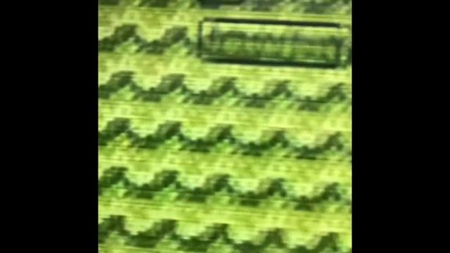 Persies Animations - Awesome Pea Game Review! смотреть онлайн