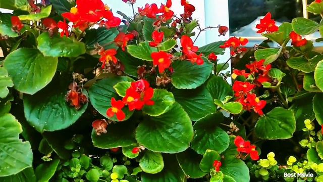 Крым🌴Гурзуф⛲СМОТРИ! живут же люди! 🌞Пузико уже загорает😂 смотреть онлайн