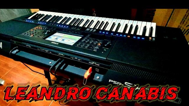 Leandro Canabiz || Cover - Cuek Habis смотреть онлайн
