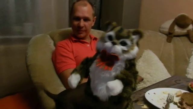 Трах трах кошку