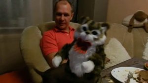 Трах трах кошку