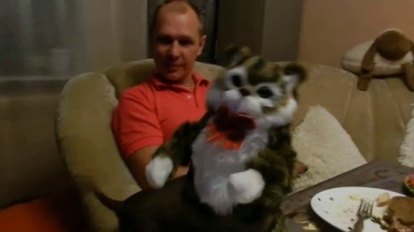 Трах трах кошку