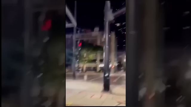 Смешные видео смотреть онлайн