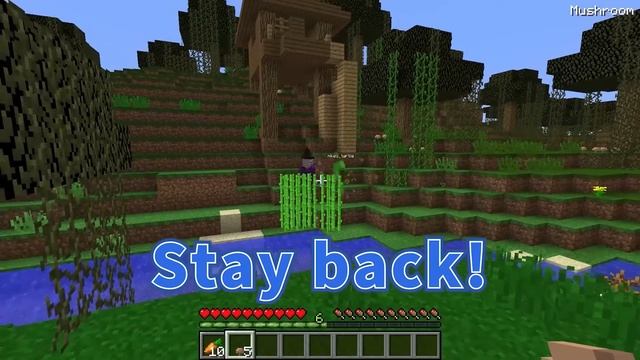 BIRTH to DEATH in MINECRAFT смотреть онлайн