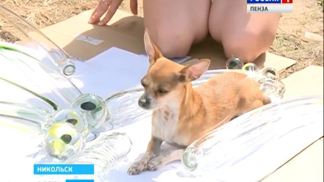 В Никольске установят айсберг, экзотический цветок и стеклянный купол смотреть онлайн