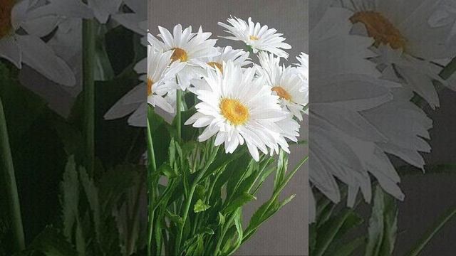 Я В НЕБО ЗАДИВИЛАСЬ смотреть онлайн