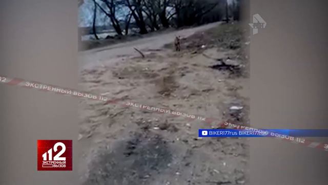 Нашествие лис в Москве смотреть онлайн