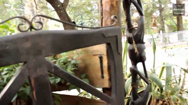 Мэрло,Сан Луис,Аргентина...2014 год.(Merlo,San Luis,Argentina) смотреть онлайн