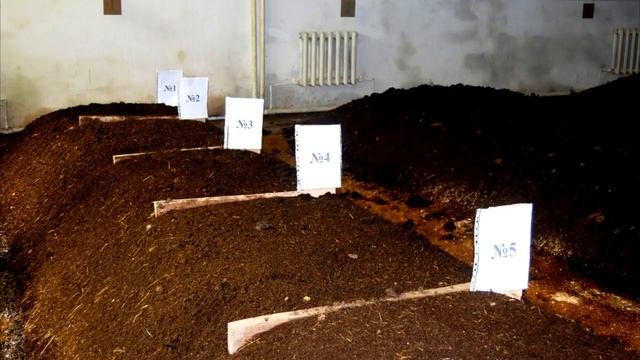 Идеи бизнеса для деревни или частного сектора смотреть онлайн