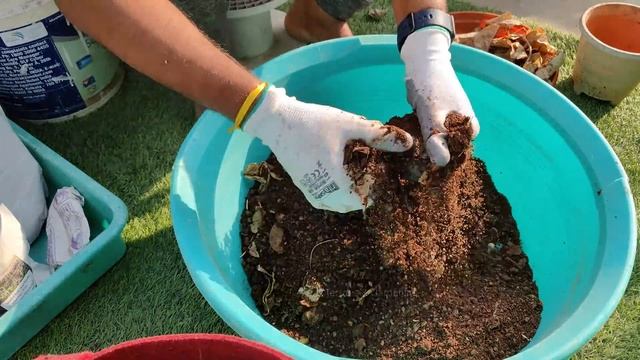 बेकार से बेकार मिट्टी को भी बनाए सोना! अपनाएं ये आसान तरीका | How To Make Potting Soil At Home Hind смотреть онлайн