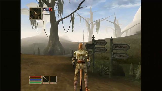 My last brain cell plays Morrowind for the first time смотреть онлайн