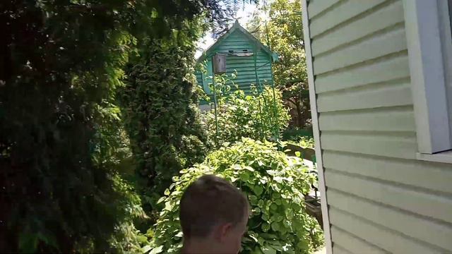Образовательный конал птицы обьединяюзие нас смотреть онлайн