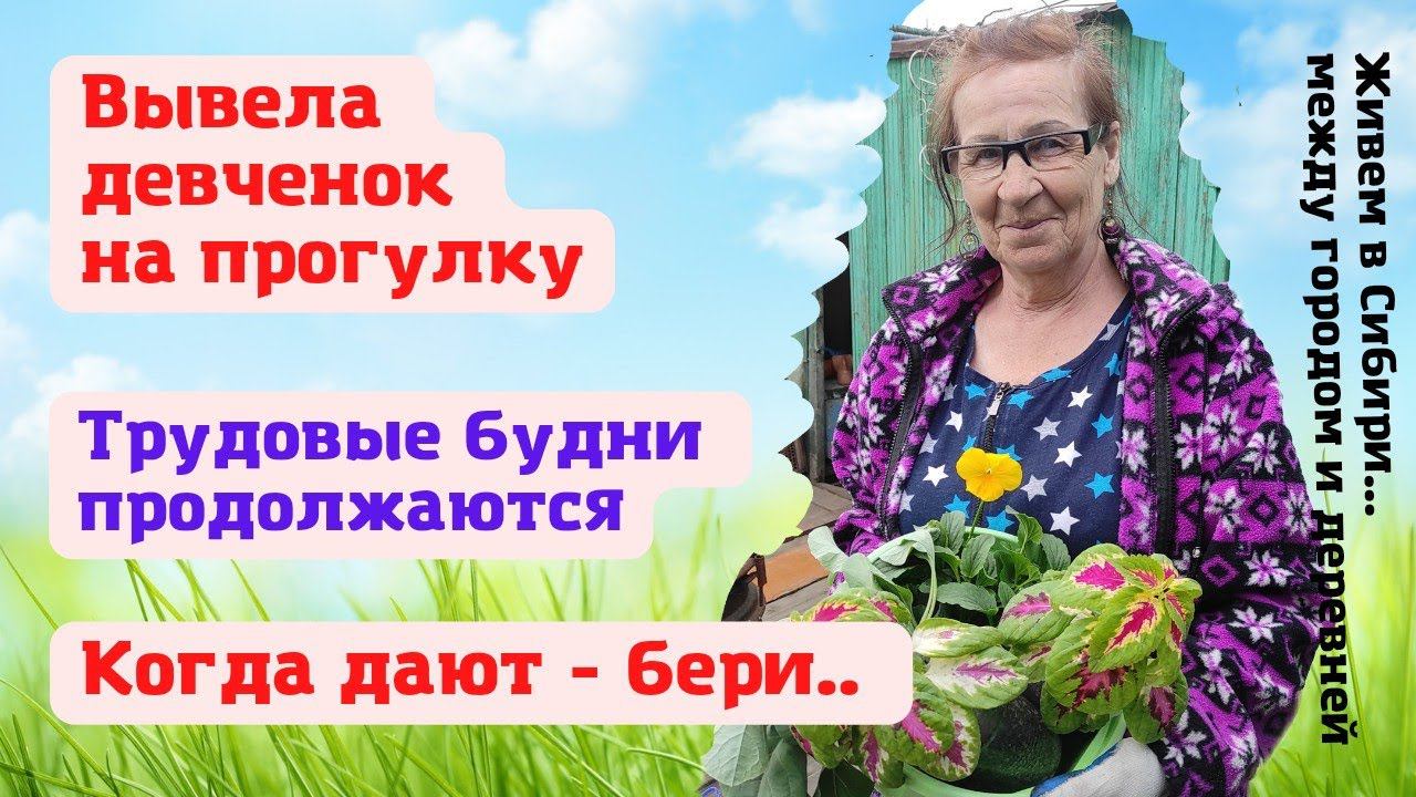 29.05.2022 Вывела девчонок на прогулку. Едем в гости. Трудовые будни в Сибири