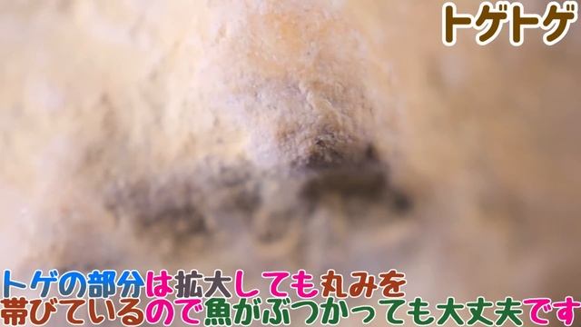 【100均】入れるだけで半年間アンモニアを吸着する最新アクア用品。たった100円で吸着しただと・・・ダイソー おさかなのキレイ玉(プレーン)/(トゲトゲ)【ふぶきテトラ】