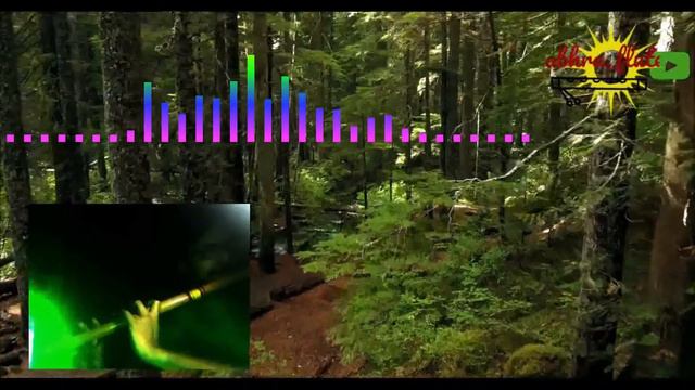 Nila Kaigirathu | Flute and Piano Cover | by Abhraneel смотреть онлайн