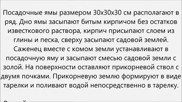 Как часто поливать виноград смотреть онлайн