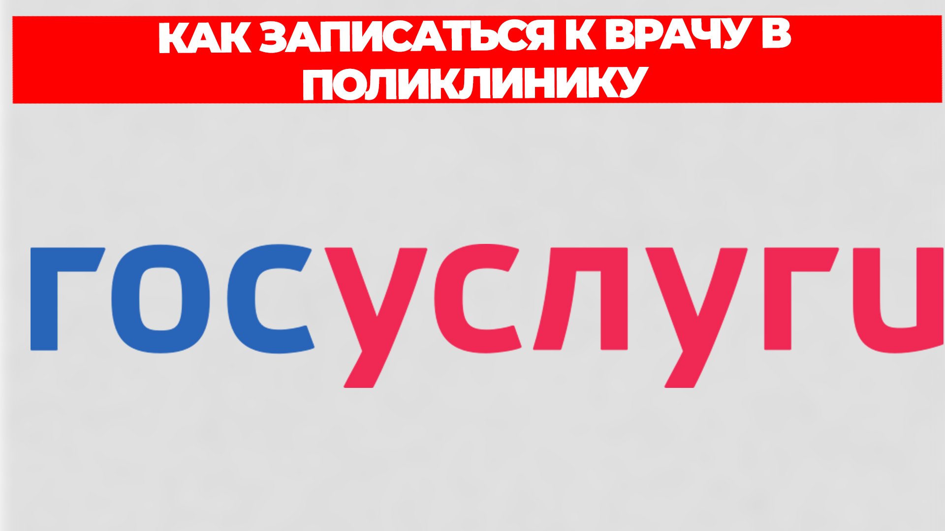 Всезнающий Енот