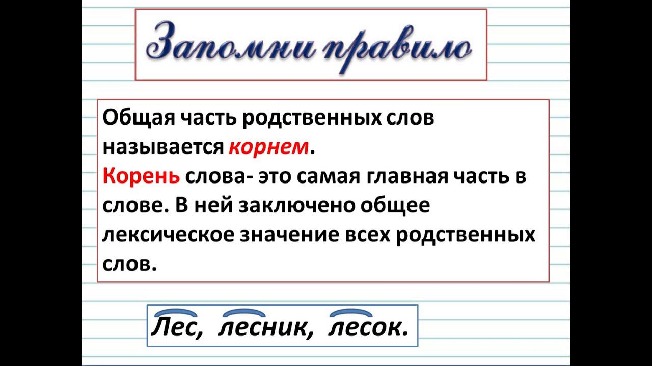 Корень слова и родственные слова смотреть онлайн