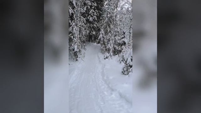 Стелс ставр. Едем на рыбалку! смотреть онлайн