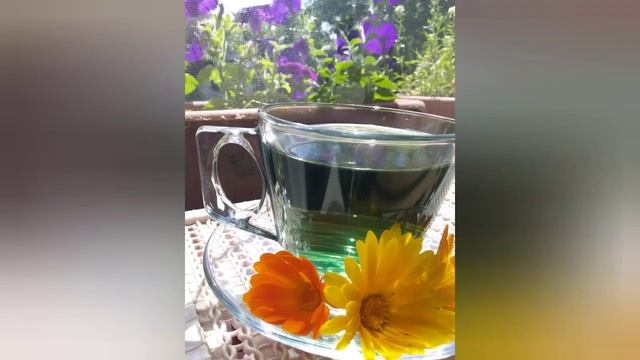 Базилик.Базиликовый чай.Базиликовый напиток.#Деревенскоесело