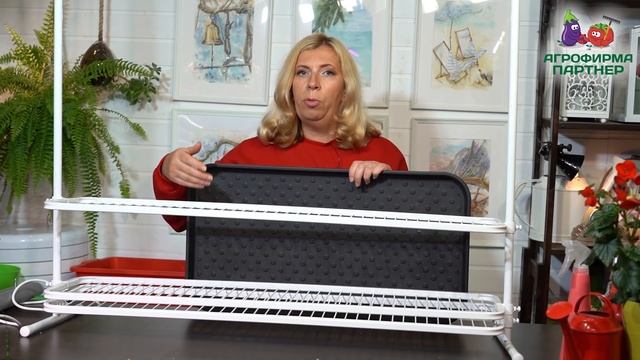 ВСЕ СЕКРЕТЫ УСПЕШНОГО ОГОРОДА НА ОКНЕ смотреть онлайн