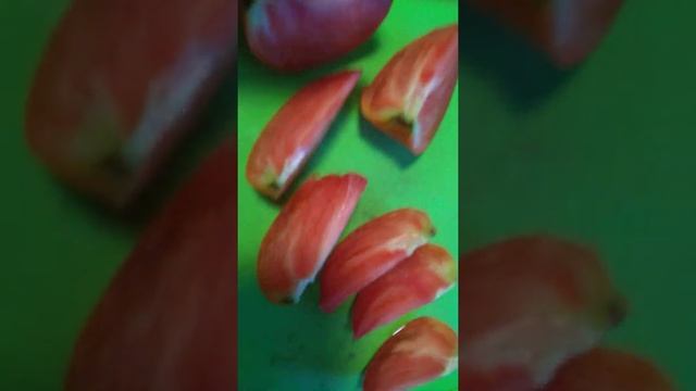 Сахарный Бизон в разрезе смотреть онлайн