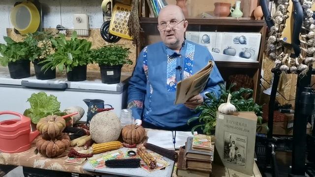 Поцелуй Герани 100 летняя история ЛУЧШЕГО сорта помидоров от Князя Боргезе! Детективная Сказка! смотреть онлайн