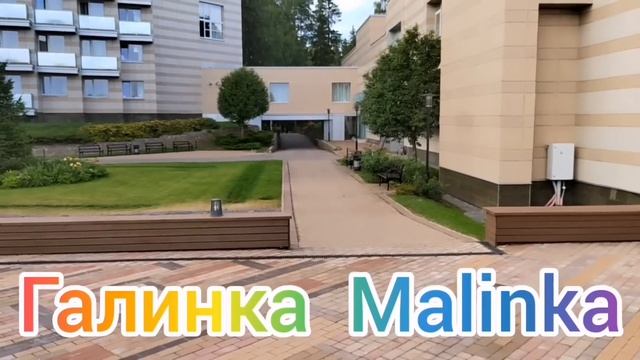 Ольга Уралочка live /Разборки в налоговой и штрафы /Обзор Влогов /Уралочка и Сафар / смотреть онлайн