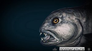 Топ 10 жутких существ обитающих в глубинных водах океана ? Кто живёт на дне океана?