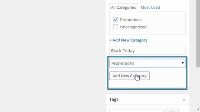 8 WordPress Categories Tags Post Revision смотреть онлайн