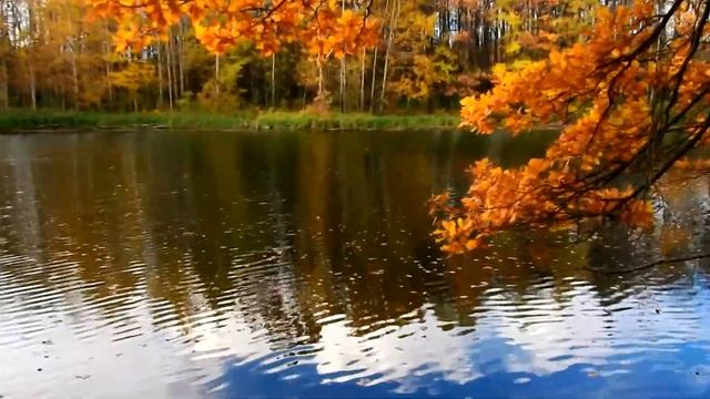 Золотая осень. Васильево.