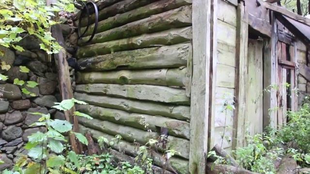 Поехал за город, и в лесу нарвался на такой шикарный, заброшенный, развалившейся дом. смотреть онлайн