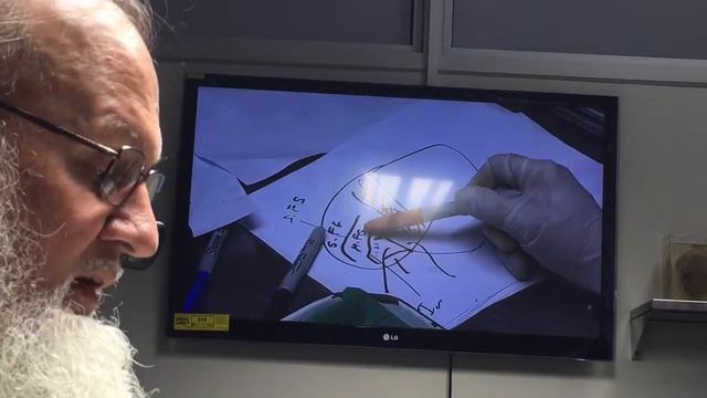 General Brain Topography Gardner Pt 2