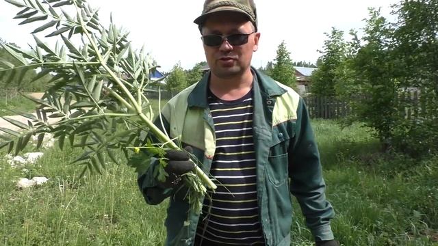 Строительные леса на фасаде дома готовы! смотреть онлайн