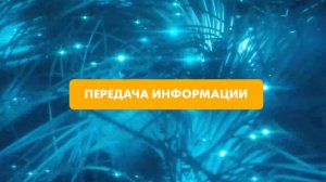 Сети передачи данных