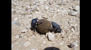 Мы в такие шагали дали, что не очень-то и дойдёшь...