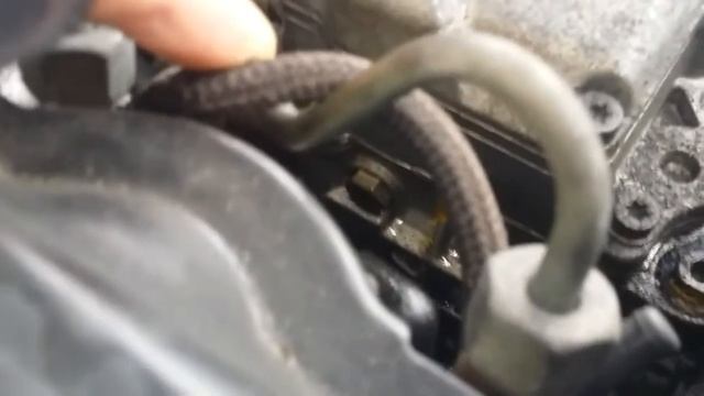 Fuel leak audi a6 c5 1999mod. What to do? смотреть онлайн