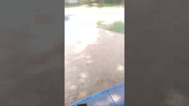 i had to git away from that tree fast a just so you all know it was two tables смотреть онлайн