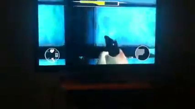How to kill Patrice in 007 legends смотреть онлайн
