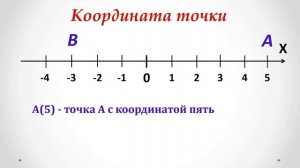 Тема 20. Положительные и отрицательные числа. Координатная прямая