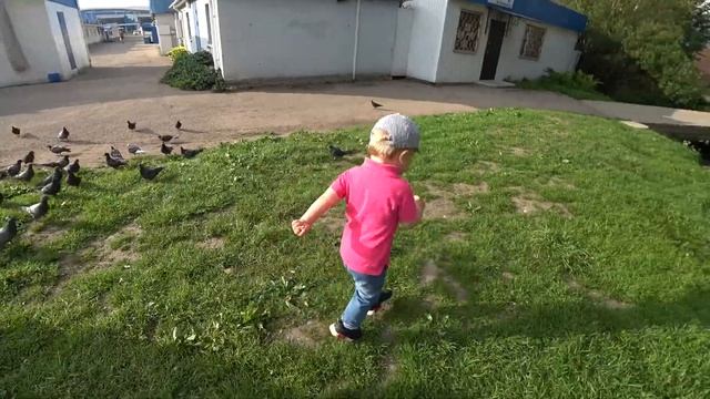 Танец живота от мужа Гришина обидка смотреть онлайн