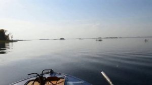 YAMAHA 40 XWS