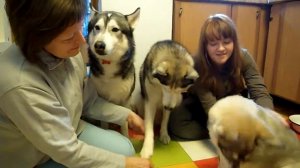 Семейное фото на память